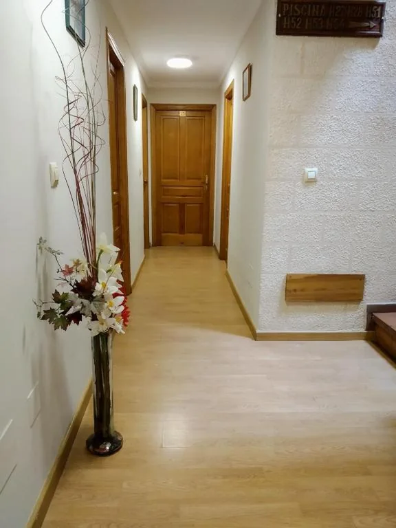 デラックス1ベッドルームアパートメント — Hotel Puente Vidosa