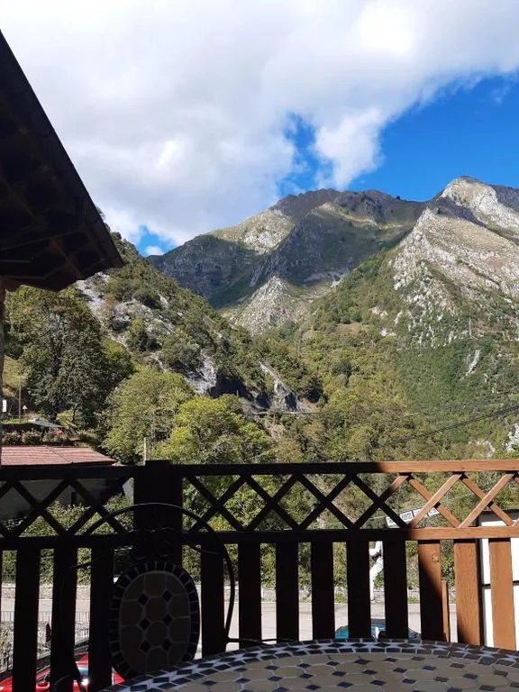 デラックス1ベッドルームアパートメント — Hotel Puente Vidosa