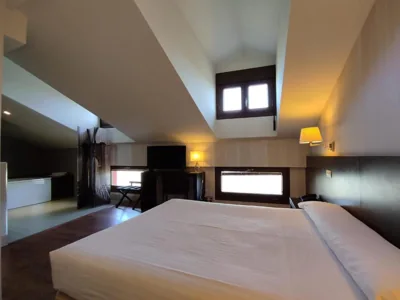 Hotel Puerta del Arco — foto 11