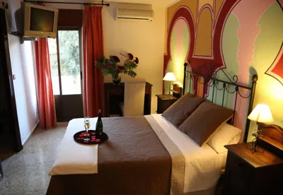 Hotel Puerta Nazarí — photo 11