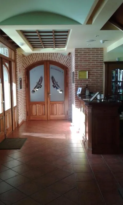Hotel Puerta Sepúlveda — foto 5