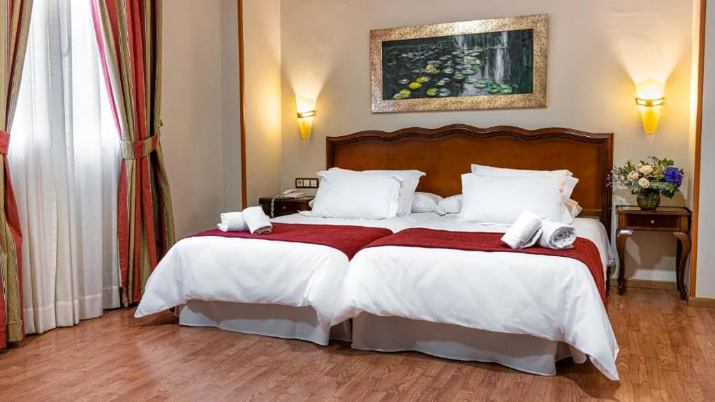 Camera Deluxe Doppia con Letti Singoli — Hotel Reina Cristina