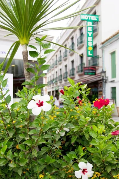 Hotel Reyesol — 照片 5