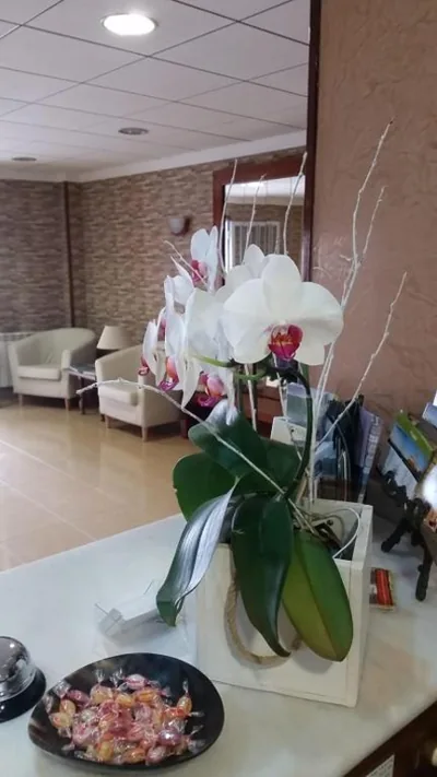 Hotel Rias Baixas — foto 10