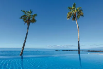 Hotel Riu Arecas - Adults Only — 照片 10