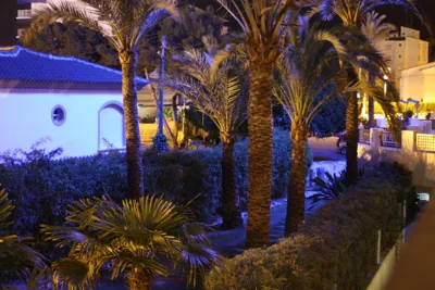 Hotel Rober Palas — photo 4