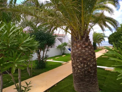 Hotel Roca Bella — foto 6