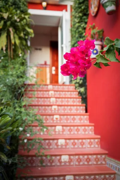 Hotel Romerito — foto 11