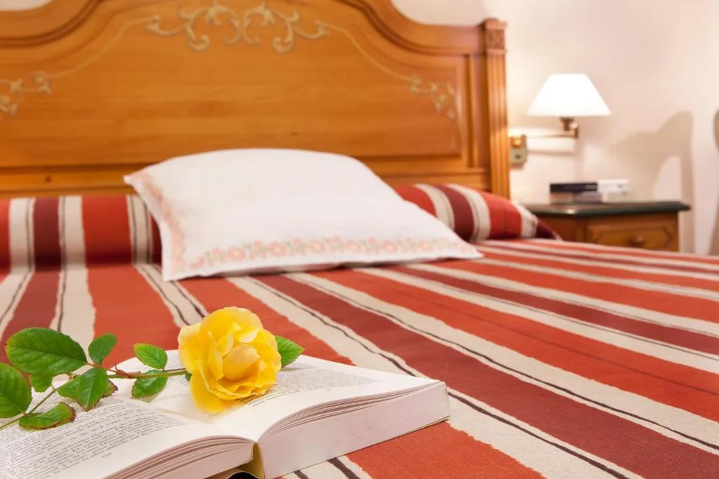 Single Room — Hotel Rosa