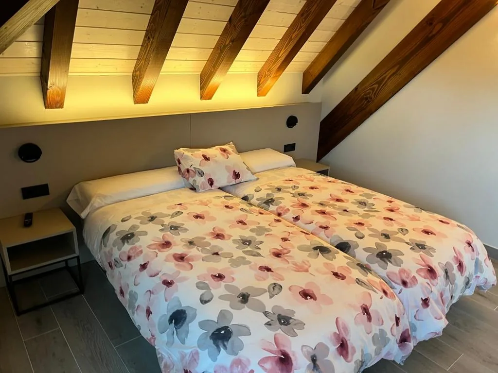 Camera Doppia con Letti Singoli — HOTEL RURAL BASQUE IRATI