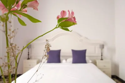 Hotel rural casona Santo Domingo — 照片 4