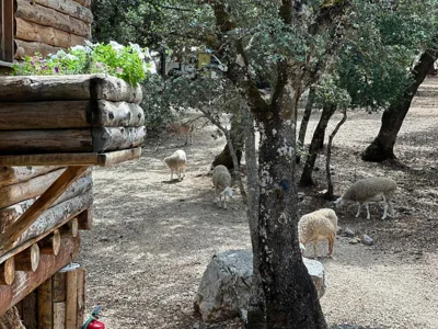 Hotel Rural Convento Santa Maria de la Sierra — photo 10