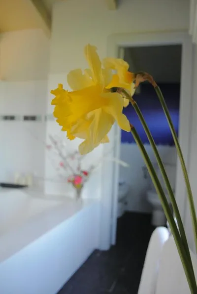 Hotel Rural El Algaire — foto 7