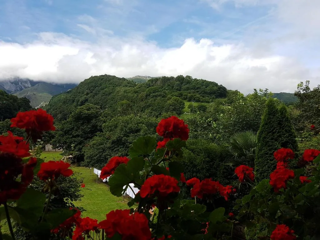 Chambre double avec vue sur la montagne — Hotel Rural El Torrejon