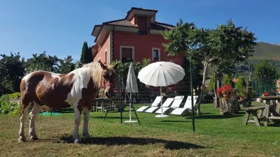 Hotel Rural El Torrejon — photo 9