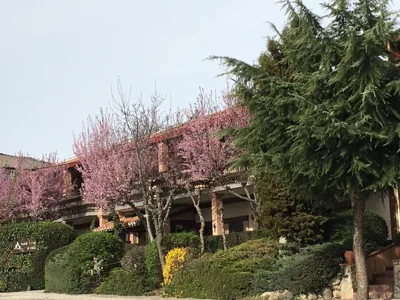 Hotel Rural El Valle — 写真 10