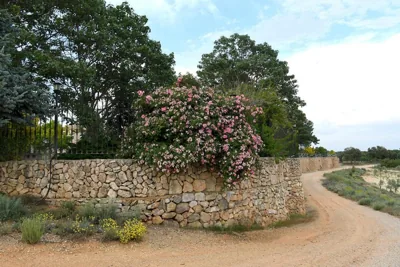 Hotel Rural La Moragona — foto 11