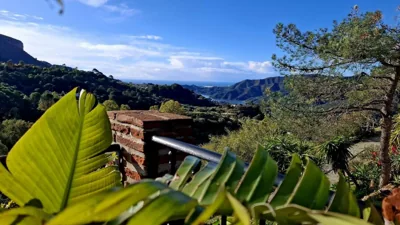 Hotel Rural Los Jarales — 照片 9
