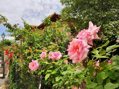Hotel rural Los Manzanos — 写真 10