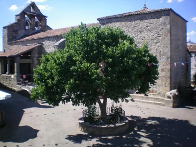 Hotel Rural Los Perales — 照片 10