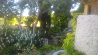 Hotel Rural San Pelayo — Foto 10