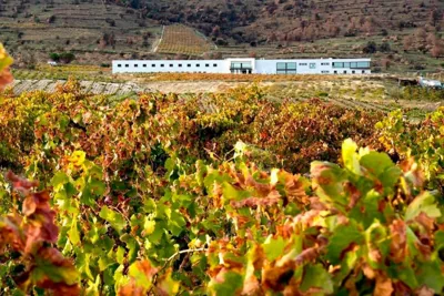 Hotel Rural TIERRAS DE CEBREROS — 写真 4