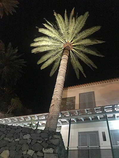 Hotel Rural Triana — foto 11