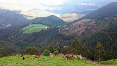 Hotel Rural Yeguada Albeitar — Foto 12