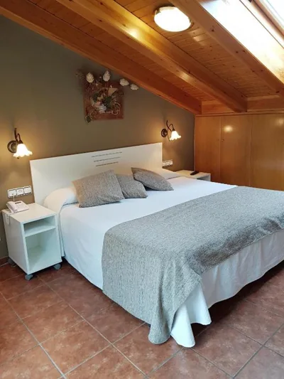 Hotel Sant Roc — photo 11
