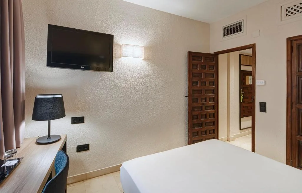 单人间 — Hotel Sercotel Alfonso VI