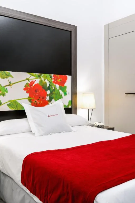 Habitación Individual Económica — Hotel Sevilla