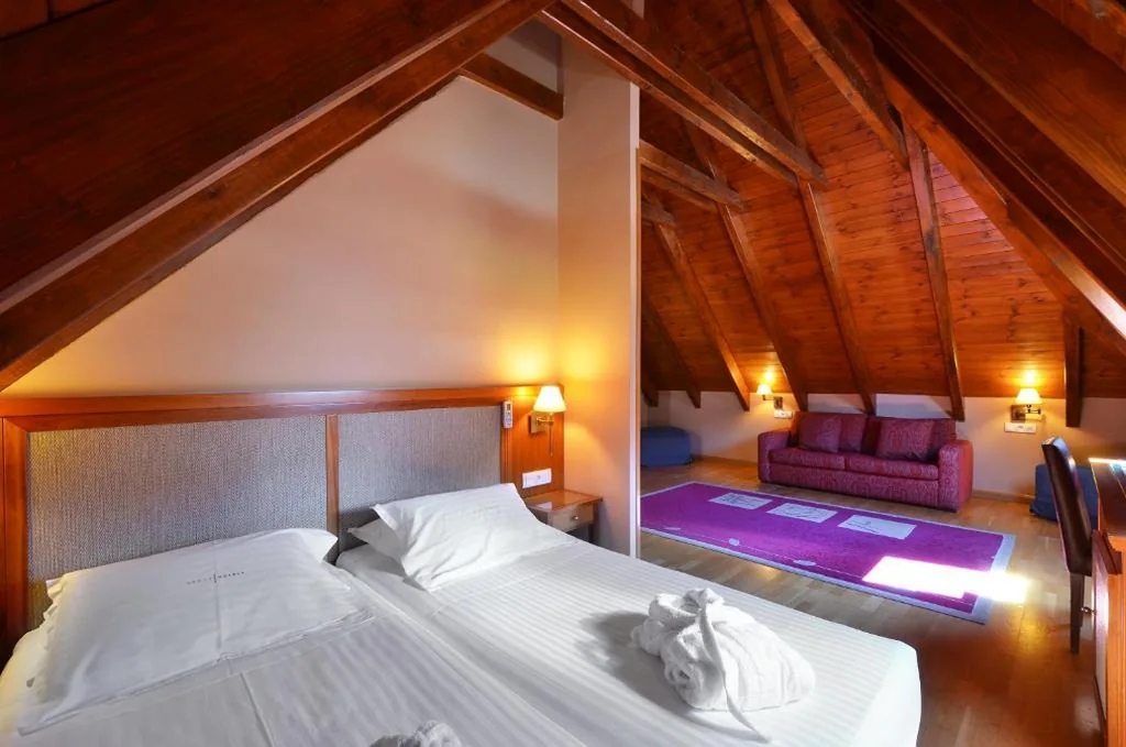 Hotel Spa Acevi Val d’Aran