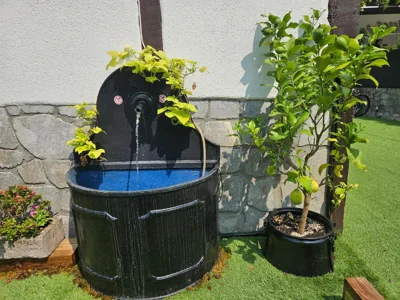 Hotel SPA Atxaspi — foto 11