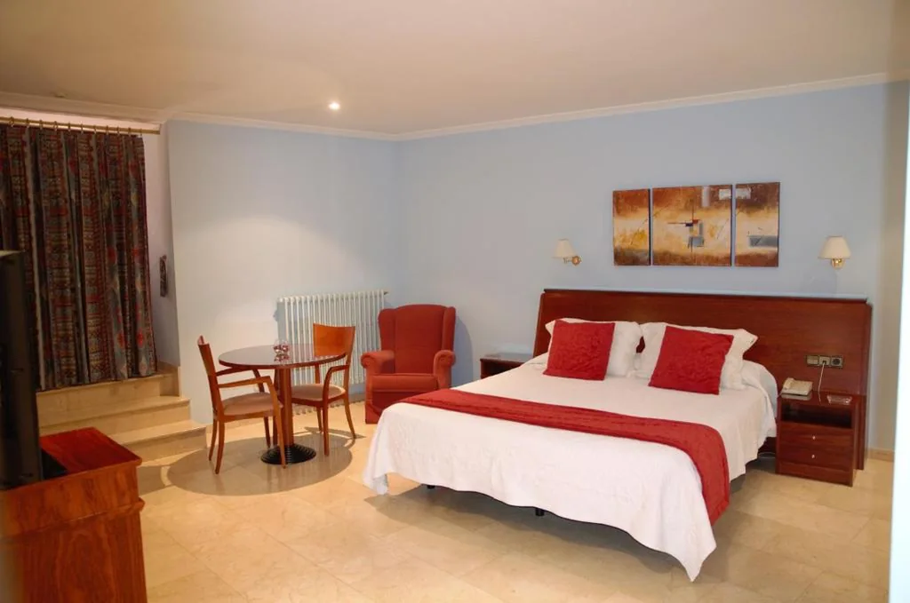 Superior kamer met 1 groot bed — Hotel Suís