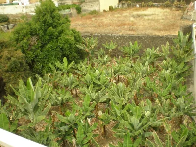 Hotel Tejuma — Foto 12