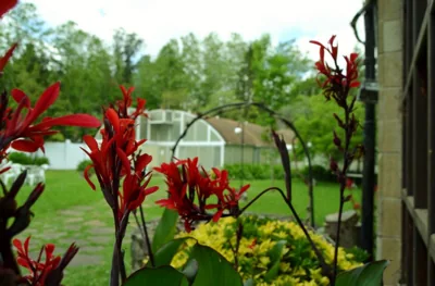 Hotel Termas de Liérganes — Foto 12