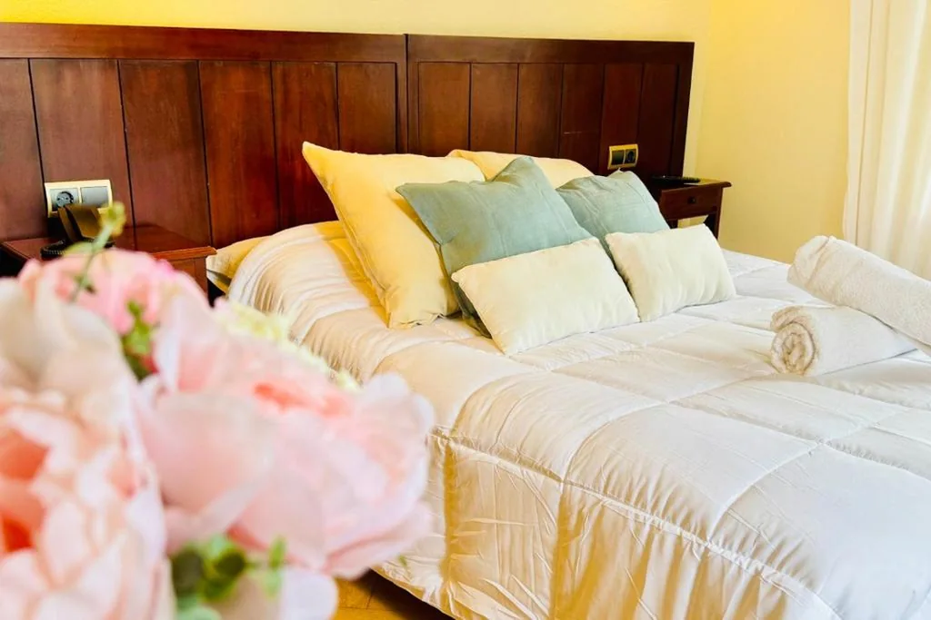 可欣赏花园景色的双人间 — Hotel Torreblanca Palace