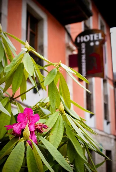Hotel Torrepalacio — Foto 5