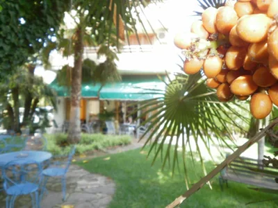 Hotel Tramontana — foto 8