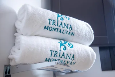 HOTEL TRIANA MONTALVAN — 写真 10