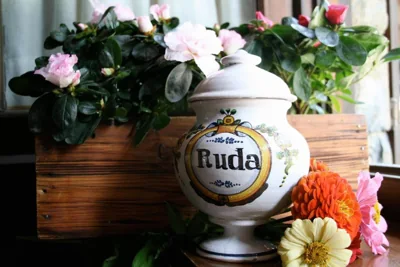 Hotel Val de Ruda — foto 10