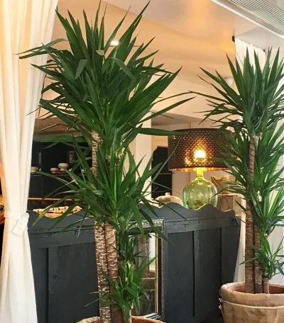 Hotel Valdecoro — foto 4
