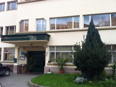 Hotel Valle de Ayala — foto 5