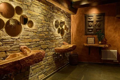 Hotel Valle de Pineta - Las Suites — foto 6