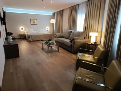 Hotel Veracruz Plaza & Spa — foto 11