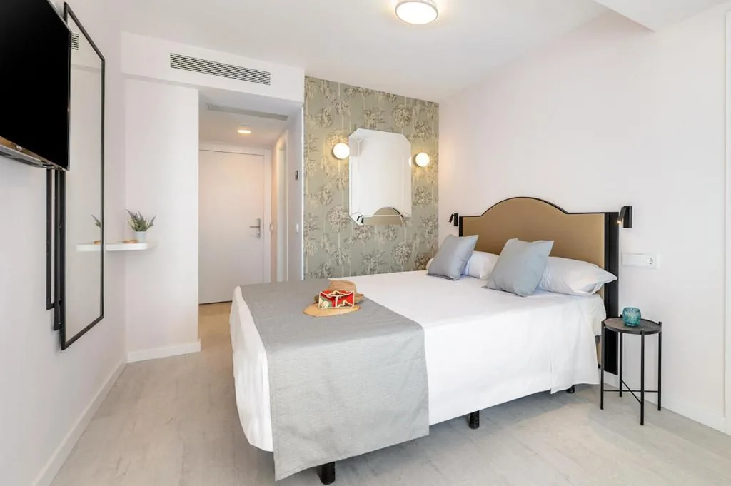 Habitación Individual — Hotel Vibra Palma Cactus