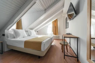 Hotel Viella — 写真 11
