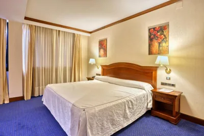 Hotel Villa De Almazan — foto 8