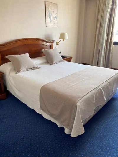Hotel Villa De Almazan — foto 10