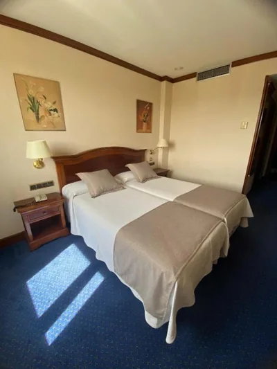 Hotel Villa De Almazan — foto 12